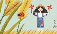 关于芒种的美句 芒种的文艺文案【图】