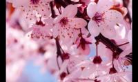 关于别人生日发朋友圈怎样写好 祝福他人生日快乐的文案【图】