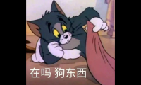 关于又酷又沙雕的句子【图】