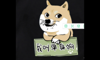 关于单身狗过520的搞笑句子【图】