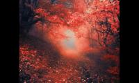 2021教师节祝福语大全温暖好听|心情文案大全