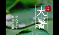 关于大暑节气祝福语图片大全 今日大暑祝福语【图】