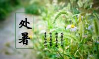 关于处暑祝福语大全【图】