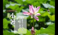 关于小暑节气祝福语图片 小暑节气早安问候语图片【图】