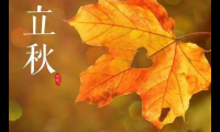 关于立秋祝福语图片【图】