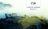 关于芒种节气发给客户的问候 适合芒种节气发的朋友圈【图】