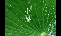 关于小暑祝福语 小暑节气祝福短信【图】