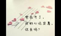 关于写情书的优美句子 情书大全表白【图】