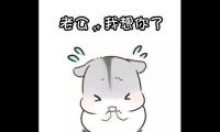 关于形容我会想你的句子 其实我很想你的句子【图】