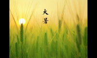 关于大暑发朋友圈的句子 大暑经典语录【图】