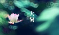 关于大暑的经典祝福语文案【图】