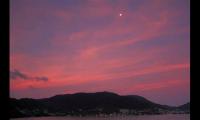 2021除夕夜沙雕文案大全，搞笑推荐