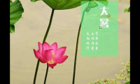 关于大暑的句子短句唯美【图】
