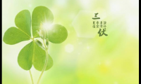 关于进入三伏天的句子【图】