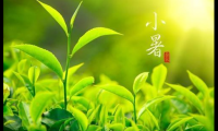 关于小暑的优美句子【图】
