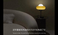 关于备忘录里的意难平文案【图】