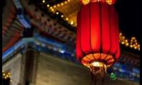 关于寒假春节作文汇编6篇