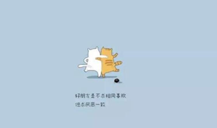 感谢朋友的话语暖心( 简短精辟暖人心的句子)