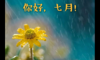 关于七月你好经典语录 【图】