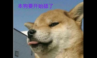 舔狗的句子经典语录,关于舔狗经典语录【图】