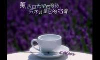 深夜发朋友圈的句子