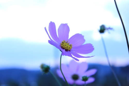 中秋节朋友圈经典说说