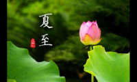 关于描写夏至的唯美句子【图】