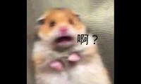 关于笑到肚子疼的句子【图】
