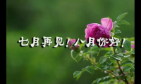 关于七月再见八月你好图片带字 八月的句子短句唯美【图】