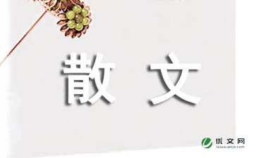 心痛散文随笔