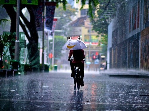 关于雨的唯美诗句或句子