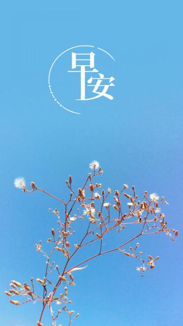 早安最美的图片,早上的唯美意境图