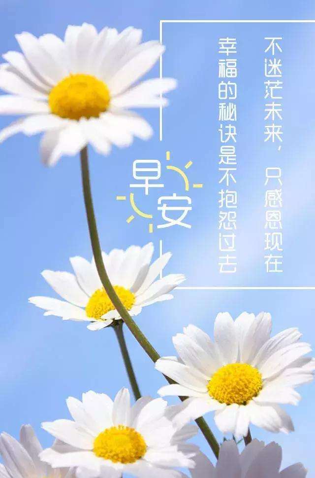 早安最美的图片,早上的唯美意境图