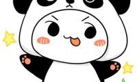 微信头像可爱的图片，有趣的微信头像