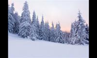 描写雪景的句子