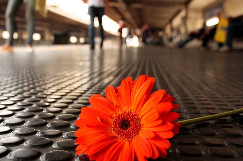 形容男子有才华的诗句