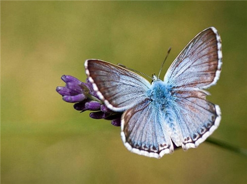 绝美的古代爱情诗词