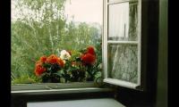 教师节献给老师的朴实祝福语