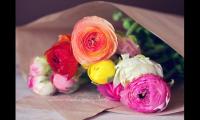 教师节给老师的一句祝福语