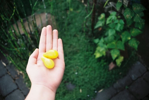 写竹子的诗句古诗大全