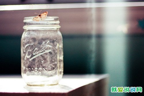 每天努力工作付出和收获的经典语录