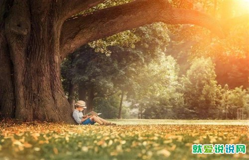 适合秋天树叶发朋友圈的句子