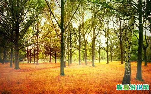 适合秋天悲伤发朋友圈