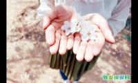 健身房出汗发的朋友圈的句子
