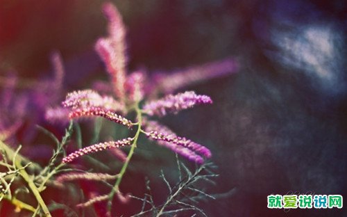 重阳节送给爷爷奶奶的简短祝福语