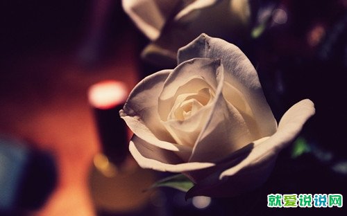 男人不靠谱的经典句子