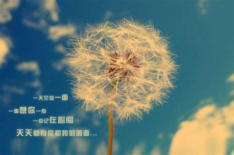 表白情话最暖心一段话 十句简短表白的话