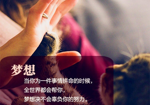 比较有诗意的微信签名一句话