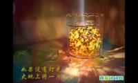 愿时光善待自己的唯美句子短句