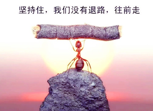 适合女人的正能量签名座右铭